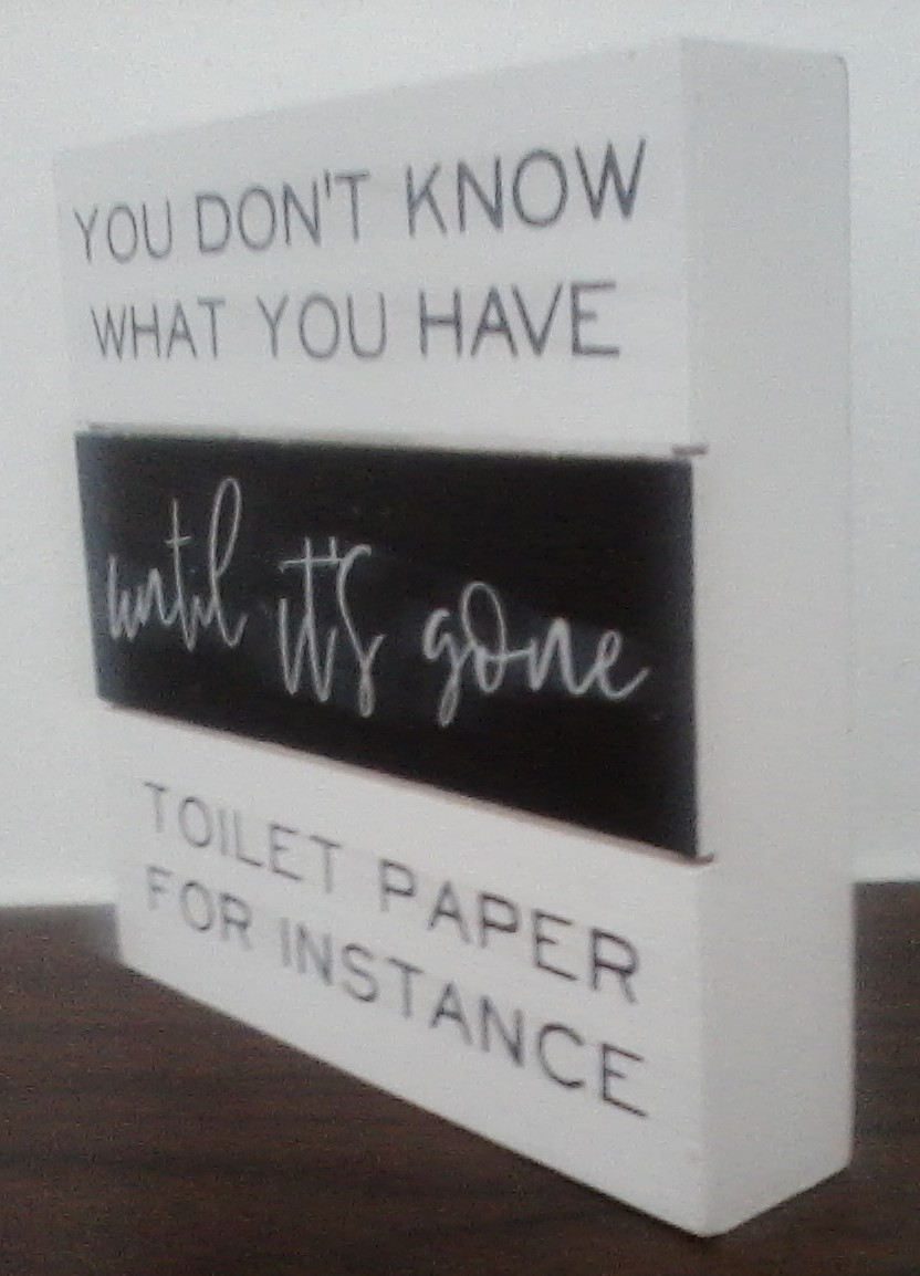 “You Don’t Know What You Have Until It’s Gone… Toilet Paper For Instance” Home