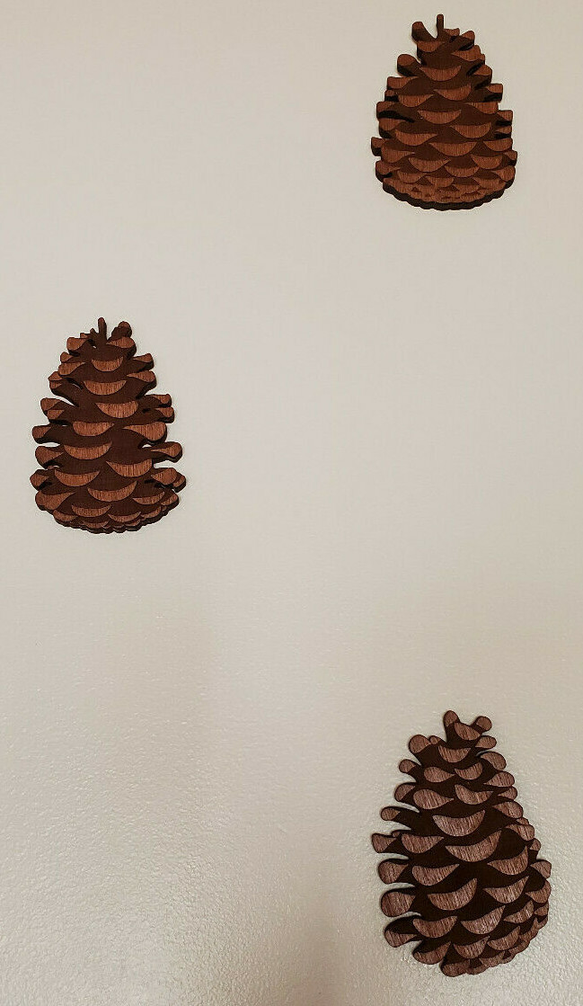 Beautiful Set of 3 Custom made Pine Cone accents for your picture arrangements.
