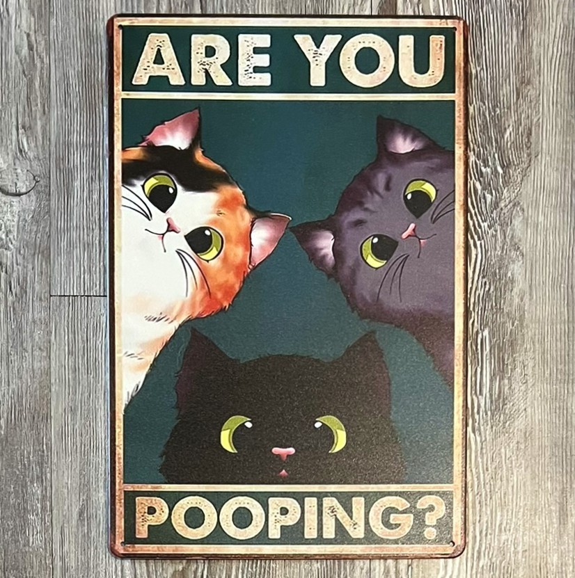 Cats Asking Are You Pooping? 8 x 12 Novelty Metal Sign New!