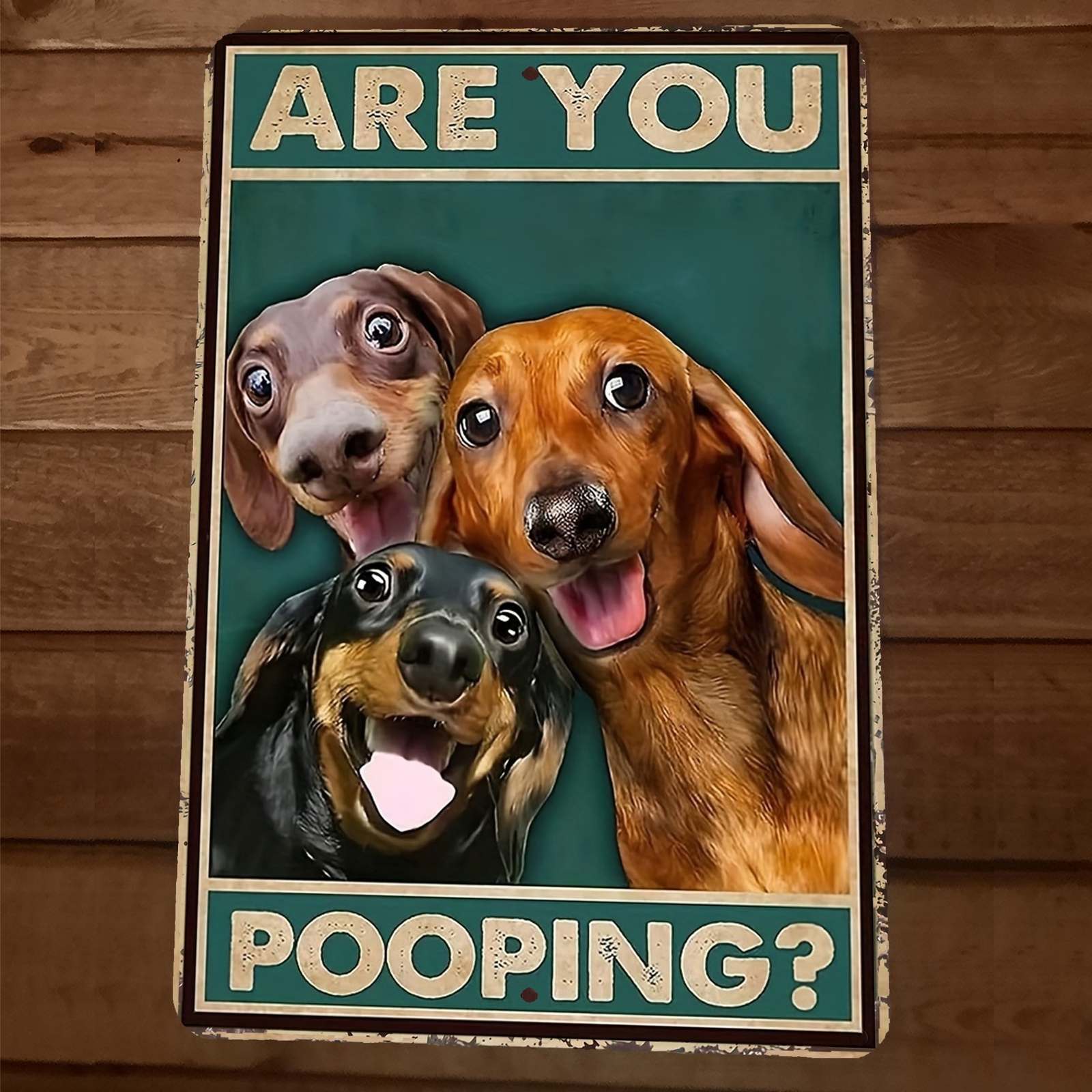 Are You Pooping Dachshund Dogs 8×12 Metal Wall Sign