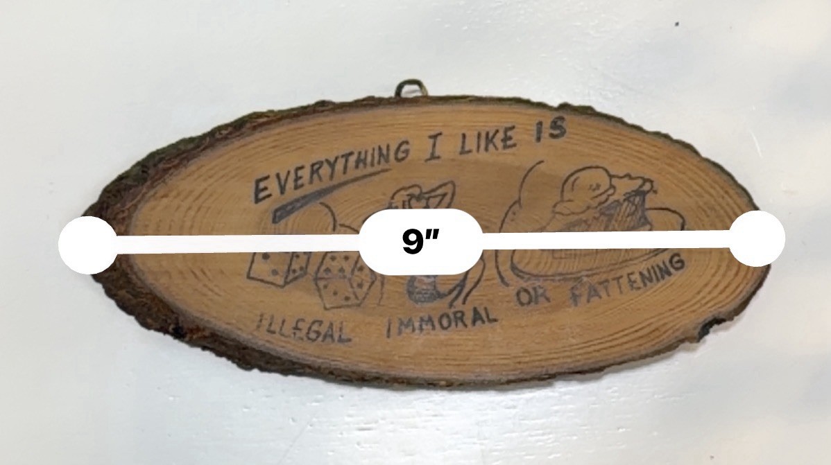 Vintage Wood Hanging Plaque Wall Oval 9×4 Everything I Like Is Illegal Quote