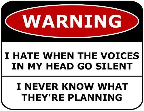 Warning I Hate When the Voices In My Head Go Silent I Never Know What They’re Pl