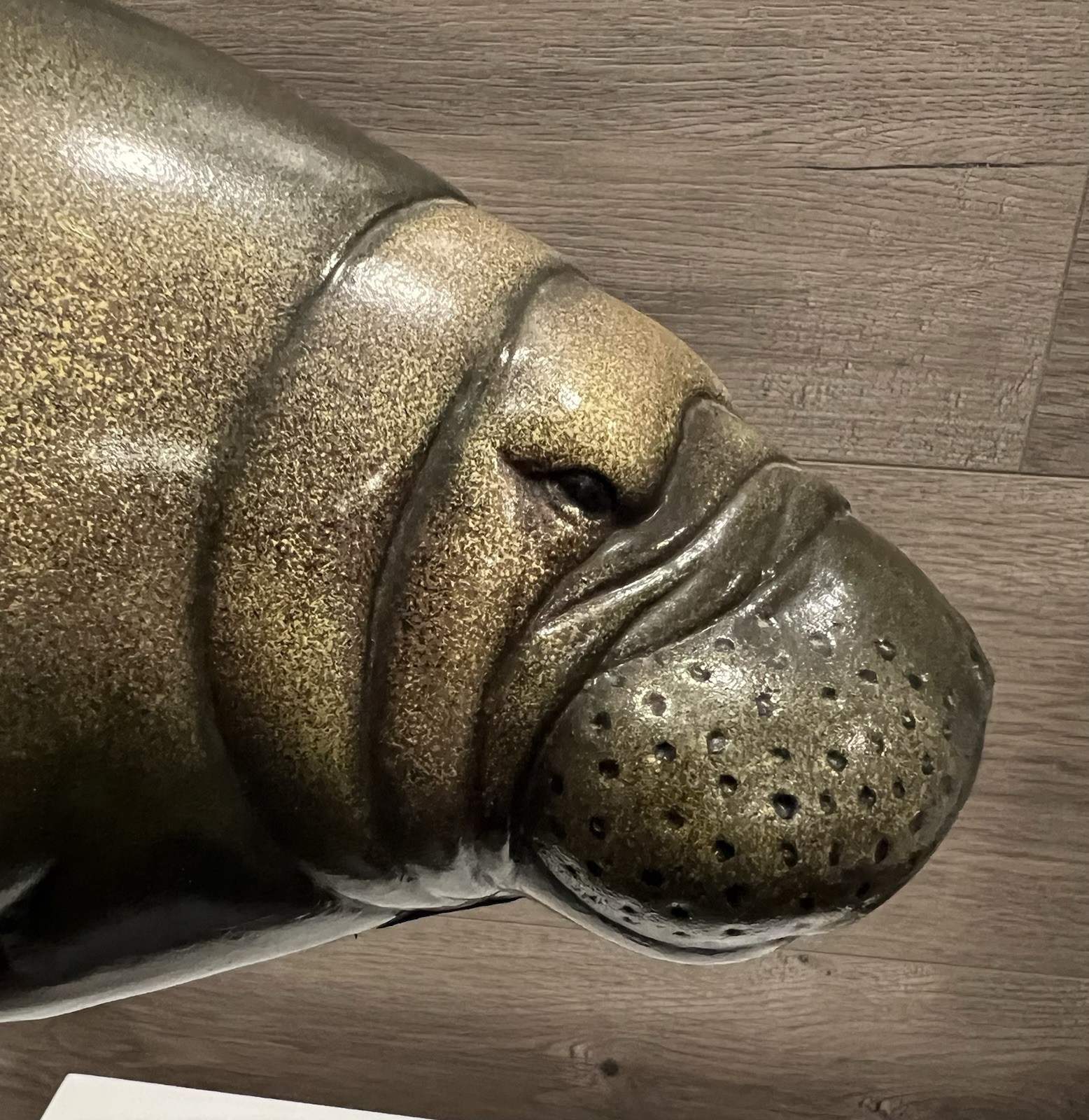Manatee 3D Decorative Wall Hanging Home Decor 17.5” Long