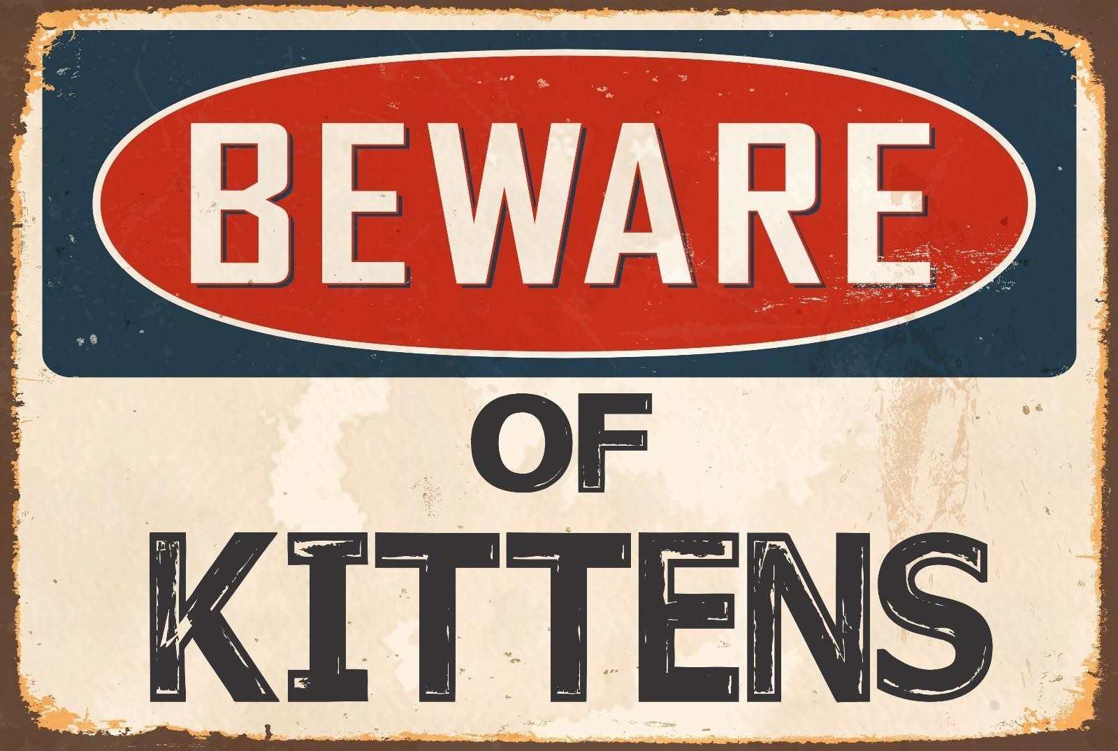 Aluminum Novelty Sign Sticker Tiger Beware Of Kittens 8×12 Funny Metal