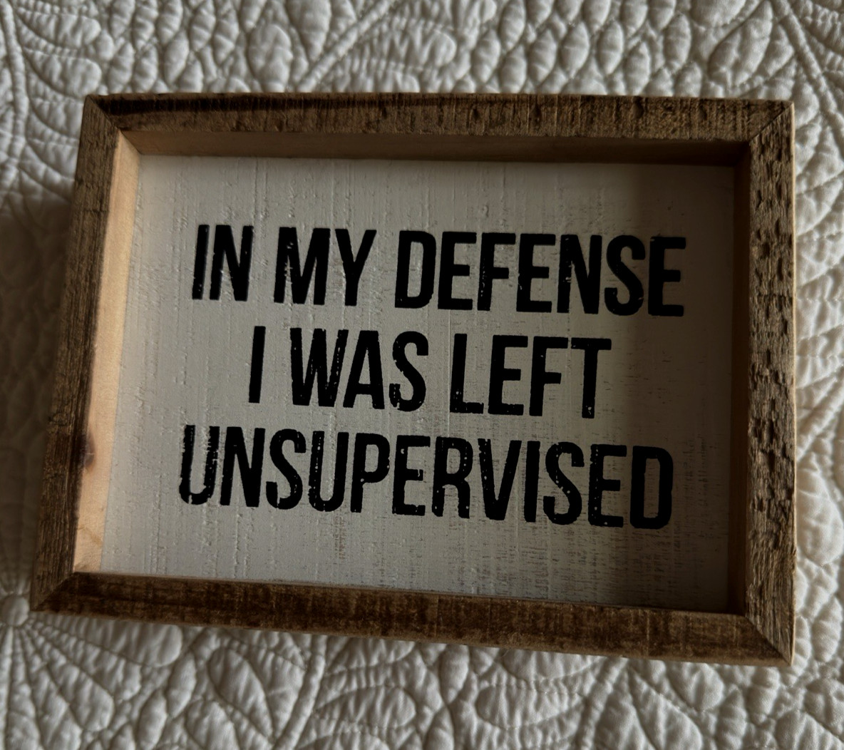 FUNNY SIGN: “IN MY DEFENSE I WAS LEFT UNSUPERVISED”~6″X4.5″X1.75″~ARTIST SIGNED!