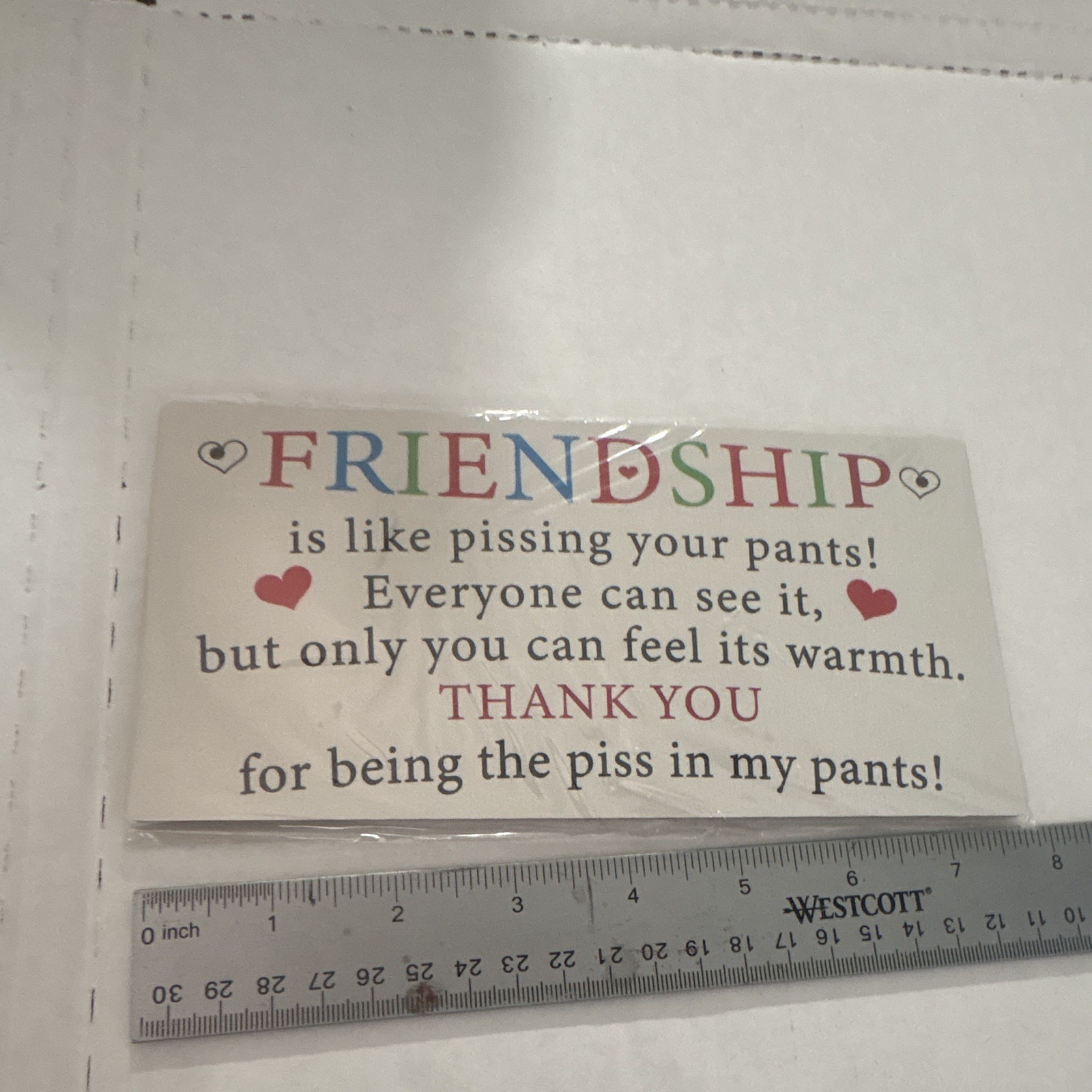 Friendship Funny Quote wood Plaque, Rectangle Horizontal 7 in Multicolor