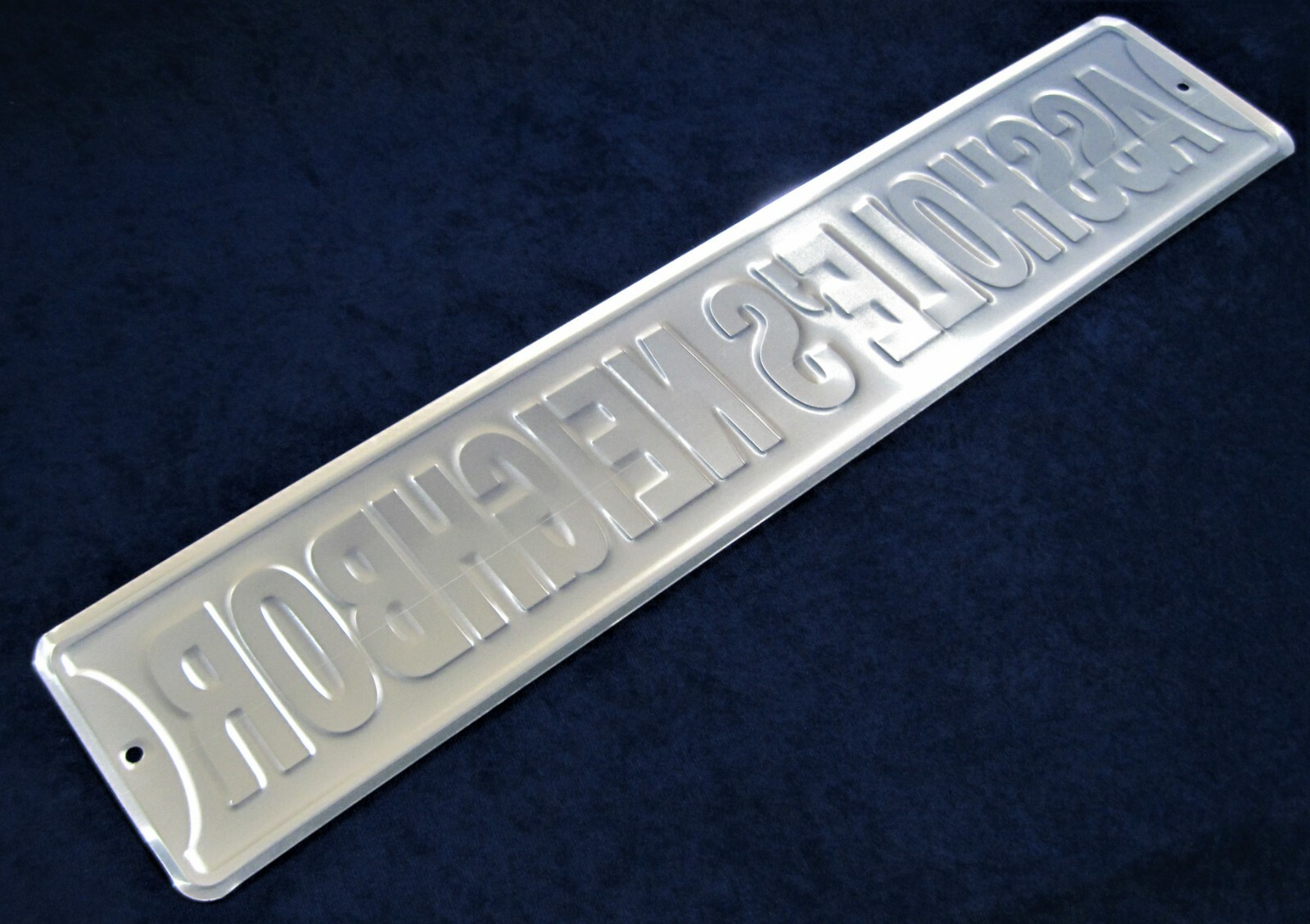A-HOLE’S NEIGHBOR -*US MADE* 24″ Embossed Metal Sign Man Cave Garage Bar Décor