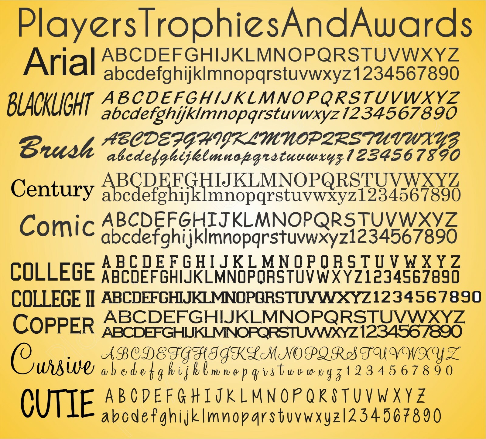 Engraved Name plate ALUMINUM Custom laser Engraving CHOICE of size proof inc PTA