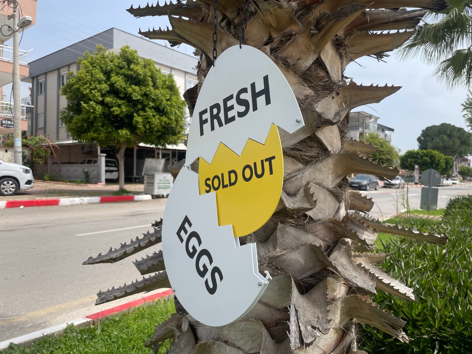 Fresh Egg Station Signs, Farm Fresh Egg Sign, Chicken Coop Eggs Sign