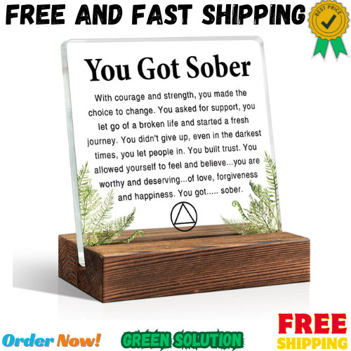 You Got Sober Office Home Decor Sign, Inspirational Acrylic Desk Wood Plaque, So