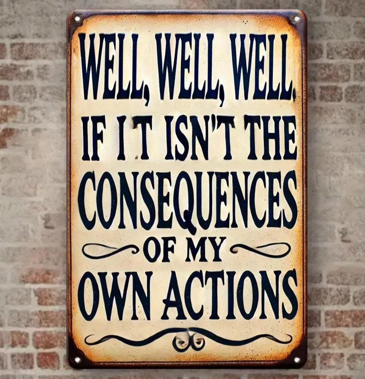 NEW 2D 8″x12″ Funny Vintage Style Metal Sign “Well, Well, Well…If It Isn’t…”