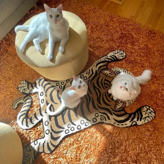 Tibetan Tiger Rugs Handmade 100% Woolen Hand Tufted For Home Decoration