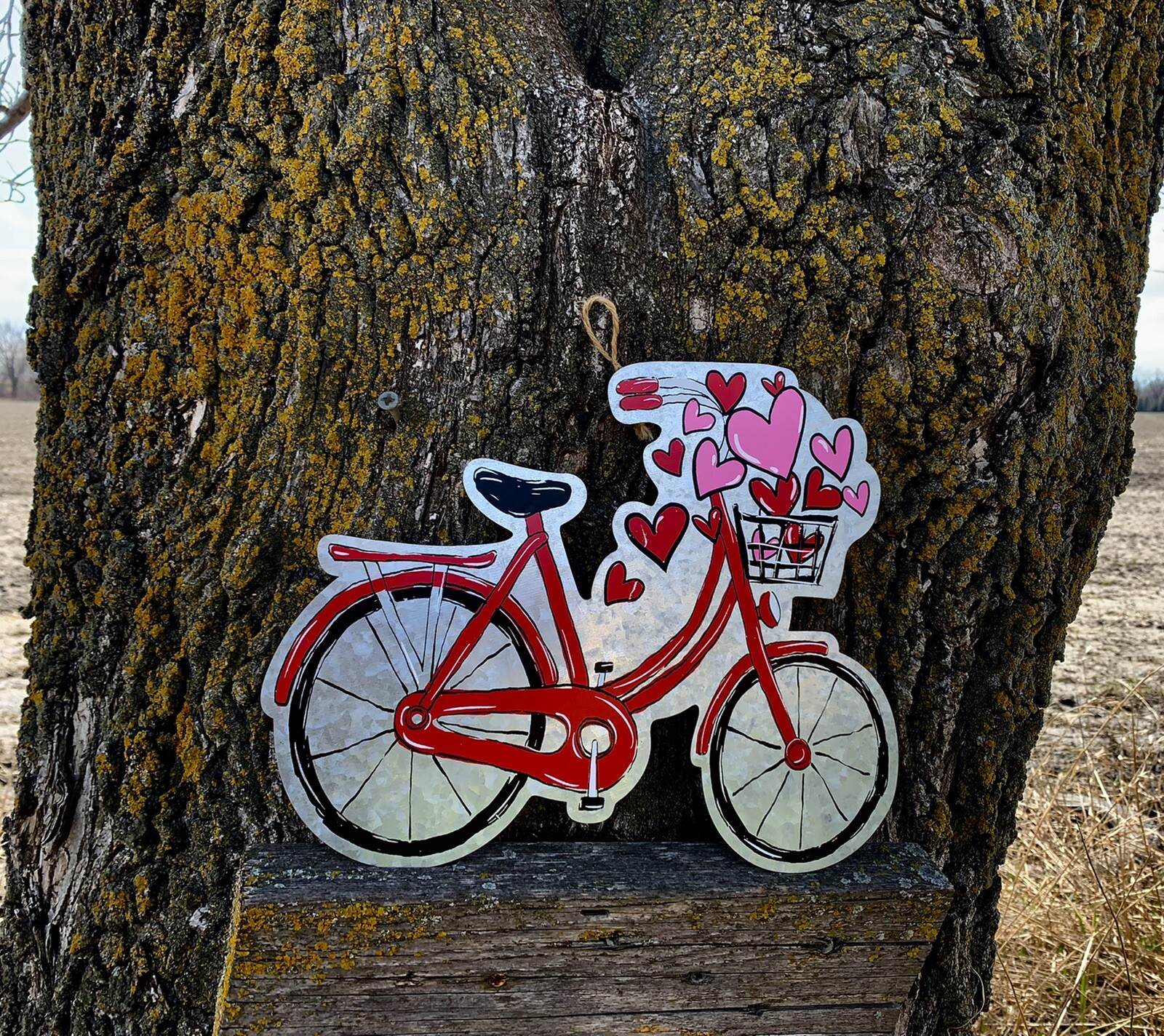 Bicycle Bike Unfinished Metal Laser Cut Out Cutout Shape Crafts Sign 