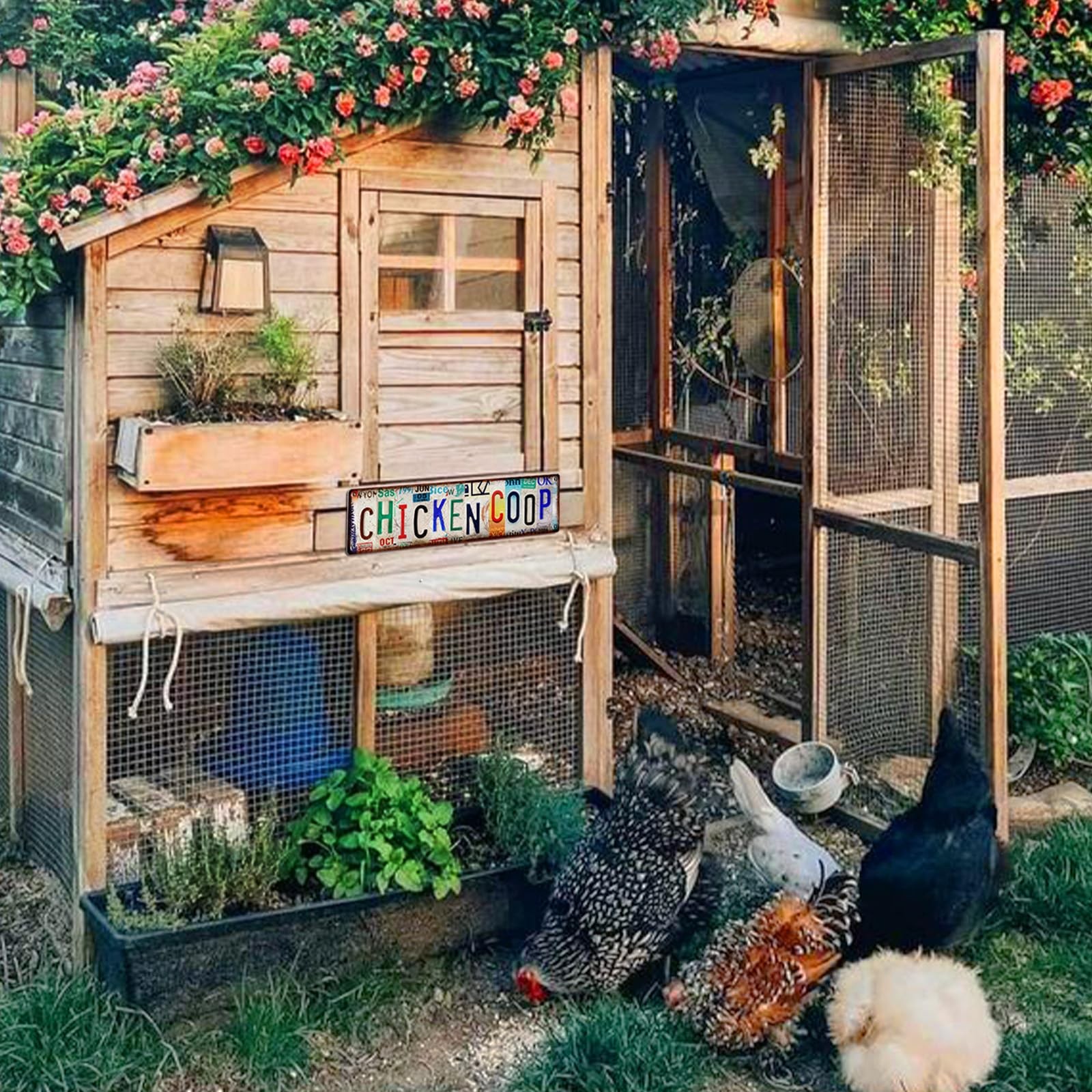 Funny Chicken Gifts Coop for Chicken Lovers Rooster Room Decor