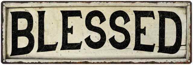 Blessed Chic Vintage Look Farm House Wall Décor Metal Sign 106180028067
