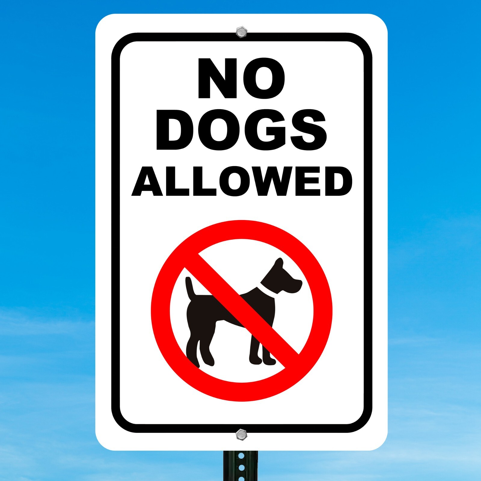 No Dogs Allowed Aluminum Metal Sign 8″ x 12″ – Weather Proof – Will Not Rust
