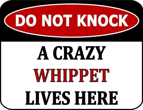 PCSCP Do Not Knock A Crazy Whippet Lives Here 11.5 inch 9 inch Laminated Dog Sig