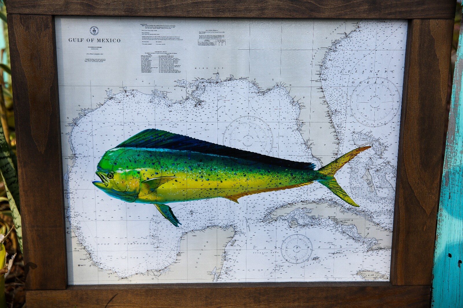 Gulf of Mexico / Florida Vintage chart Sign with Mahi
