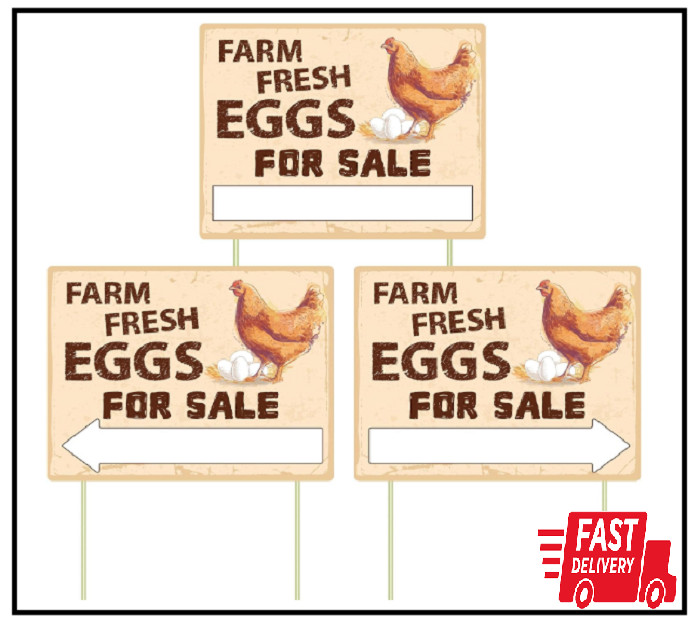 3Pcs Double Sided Farm Fresh Eggs Sign Eggs for Sale Sign Corrugated Plastic Fre