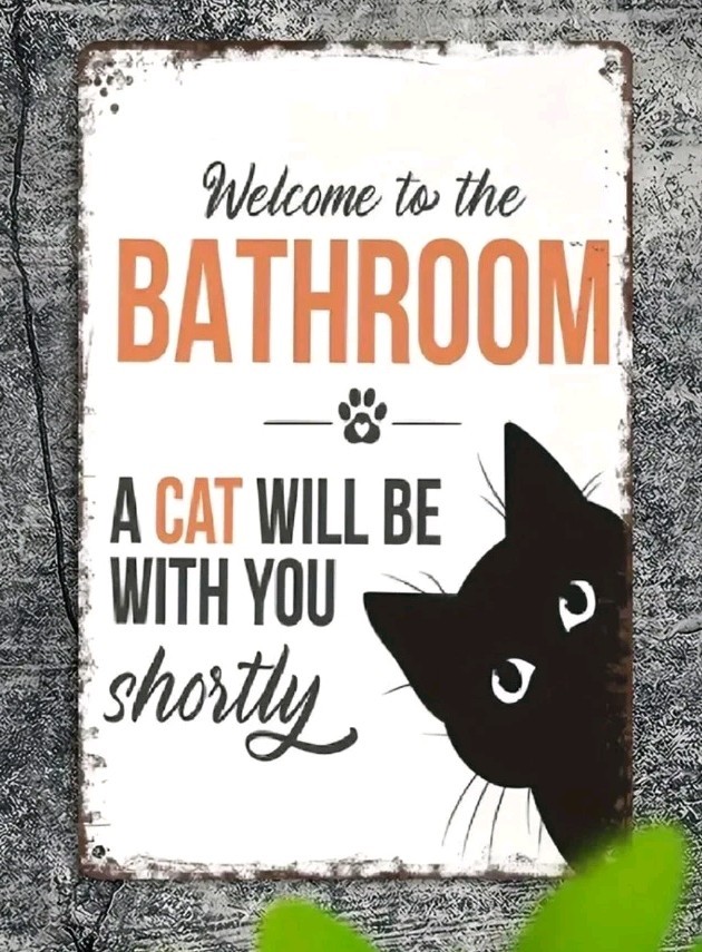Funny Cat Bathroom Sign 8×12 Metal Wall Decor Retro Black Cat Gift House Humor