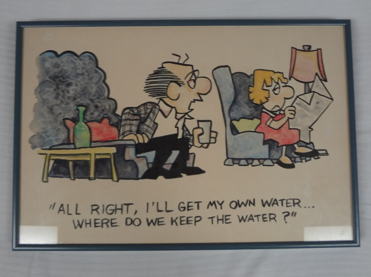 VINTAGE THE LOCKHORNS COMIC STRIP WHERE DO WE KEEP THE WATER FRAMED WALL HANGING