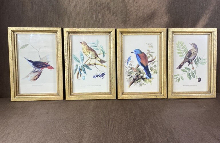 IMAX Set of 4 Wooden Bird Plaques Vintage Style Ornithology Gold Frame 9×6.5″