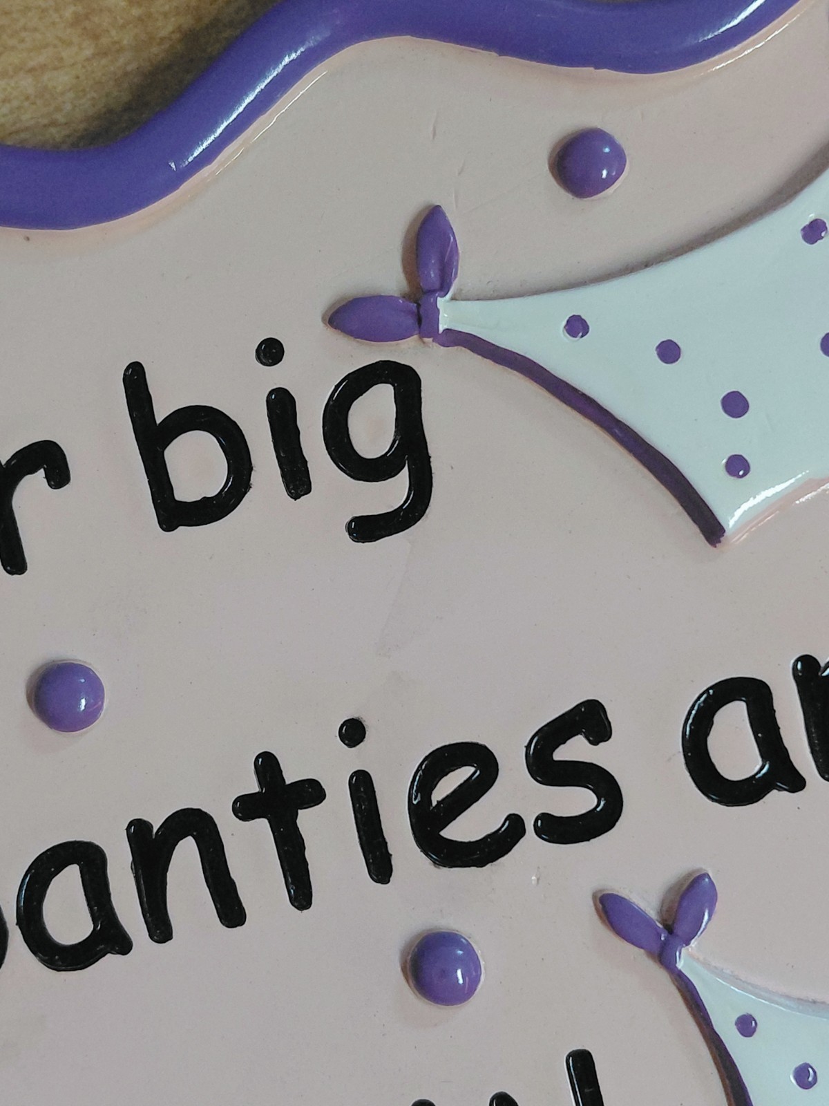 Purple Put On Your Big Girl Panties And Deal With It Wall Decor Hanging Sign