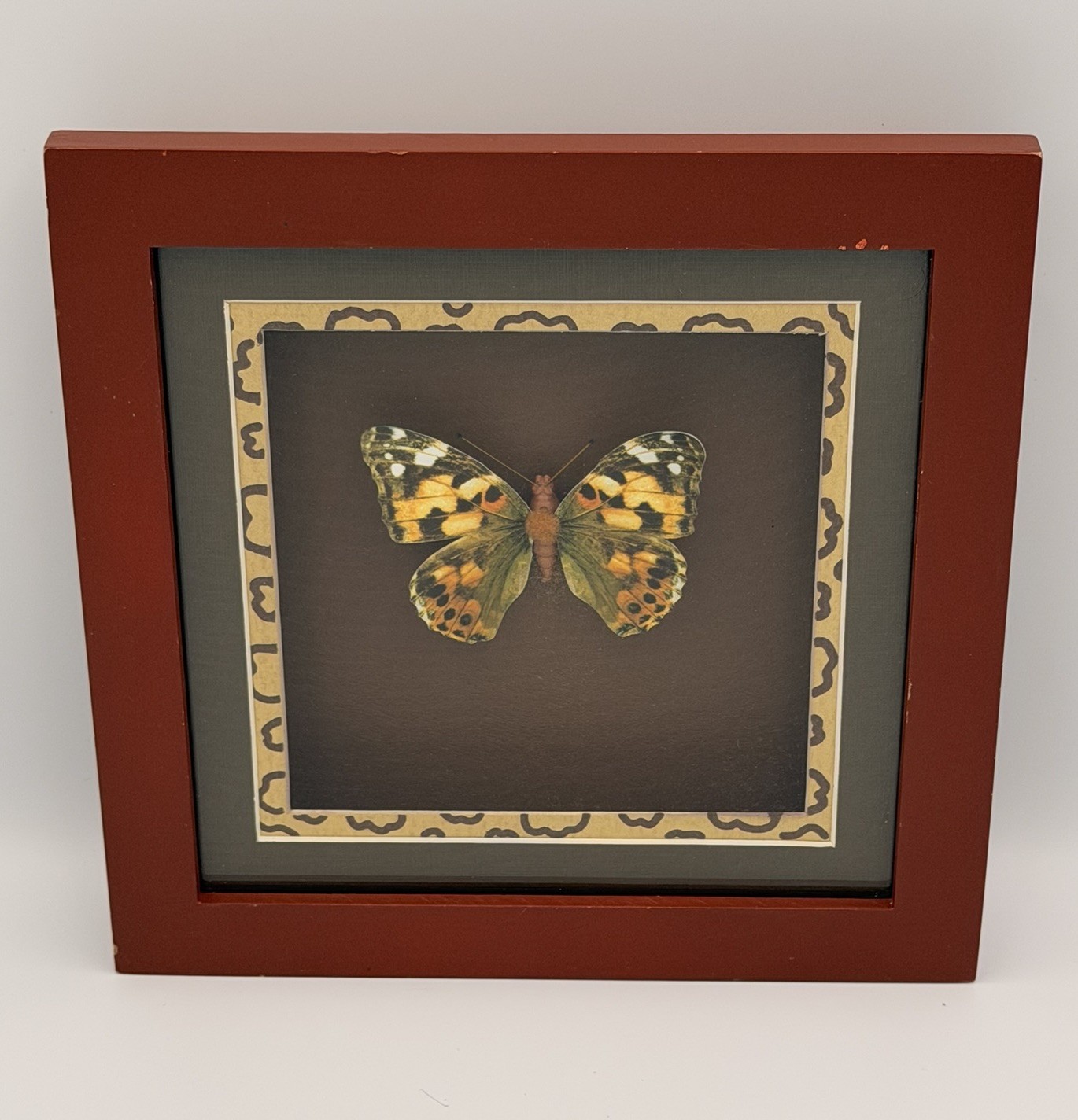 Framed Butterfly Shadow Box Wall Art 8×8 Leopard Print Accent Nature Decor