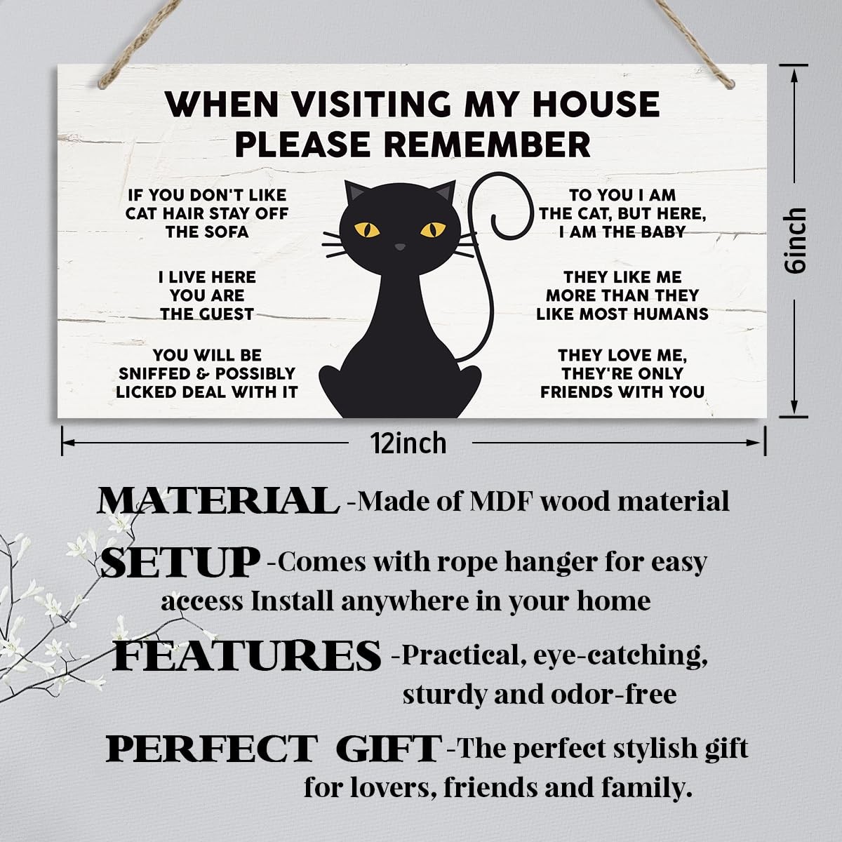 Cat Decor, When Visiting My House Please Remember, Decorative Hanging Wall Pl