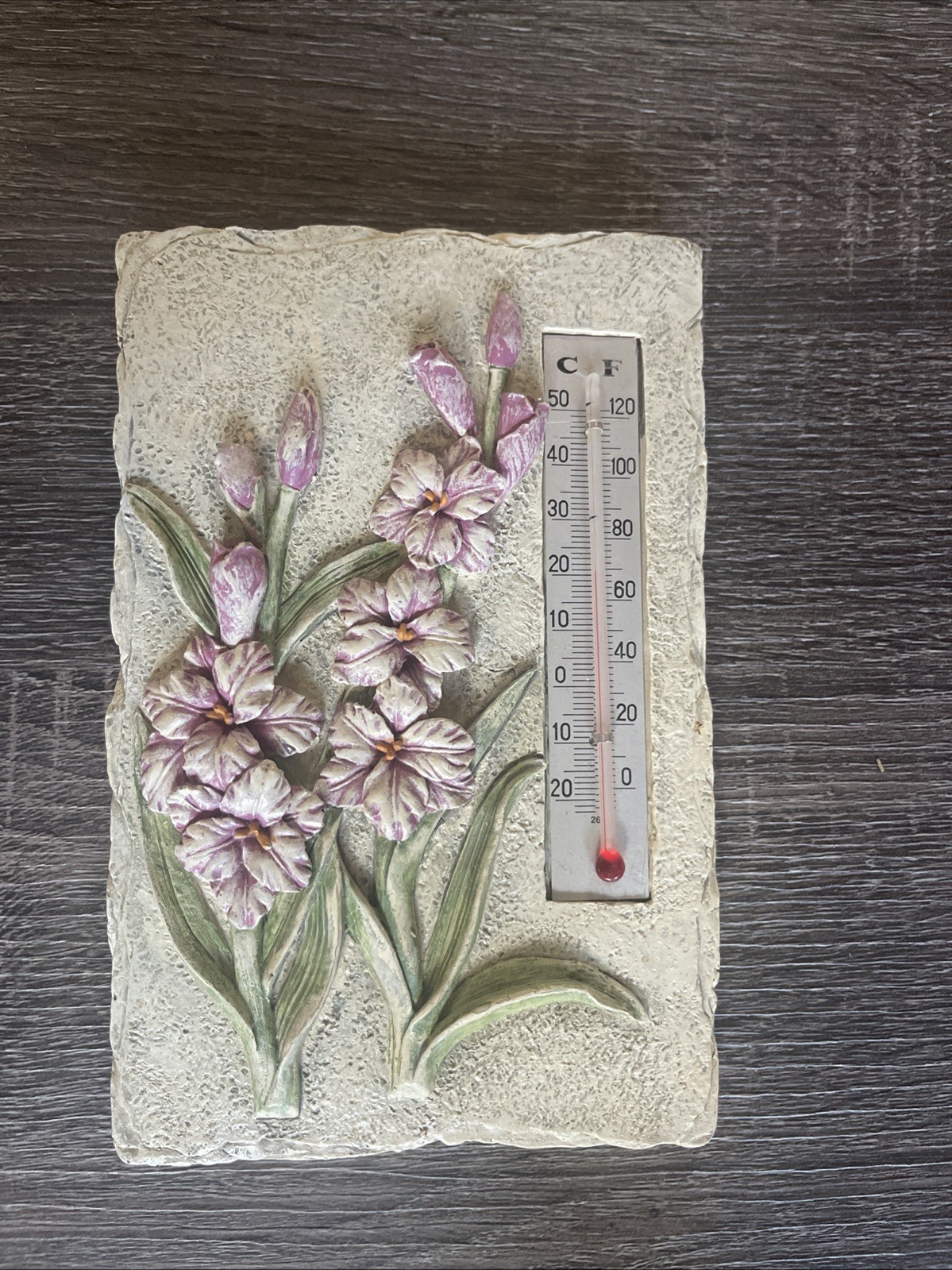 Hen-Feathers Resin Wall Plaque (Vintage) — Tulip Motif Thermometer — 9.5 Inches