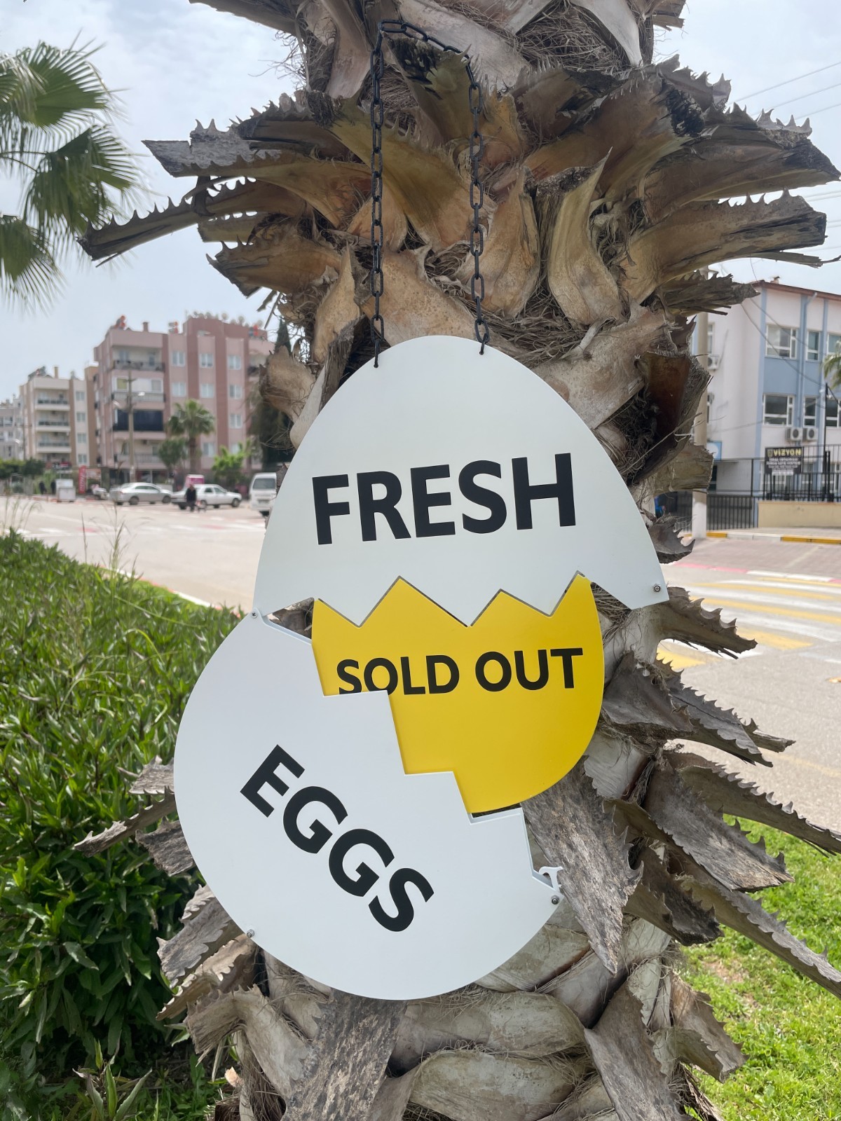 Fresh Egg Station Signs, Farm Fresh Egg Sign, Chicken Coop Eggs Sign