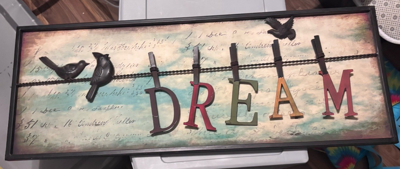 Rustic Multicolor Wood “DREAM” Birds Wall Mounted Hanging Sign, Rectangle