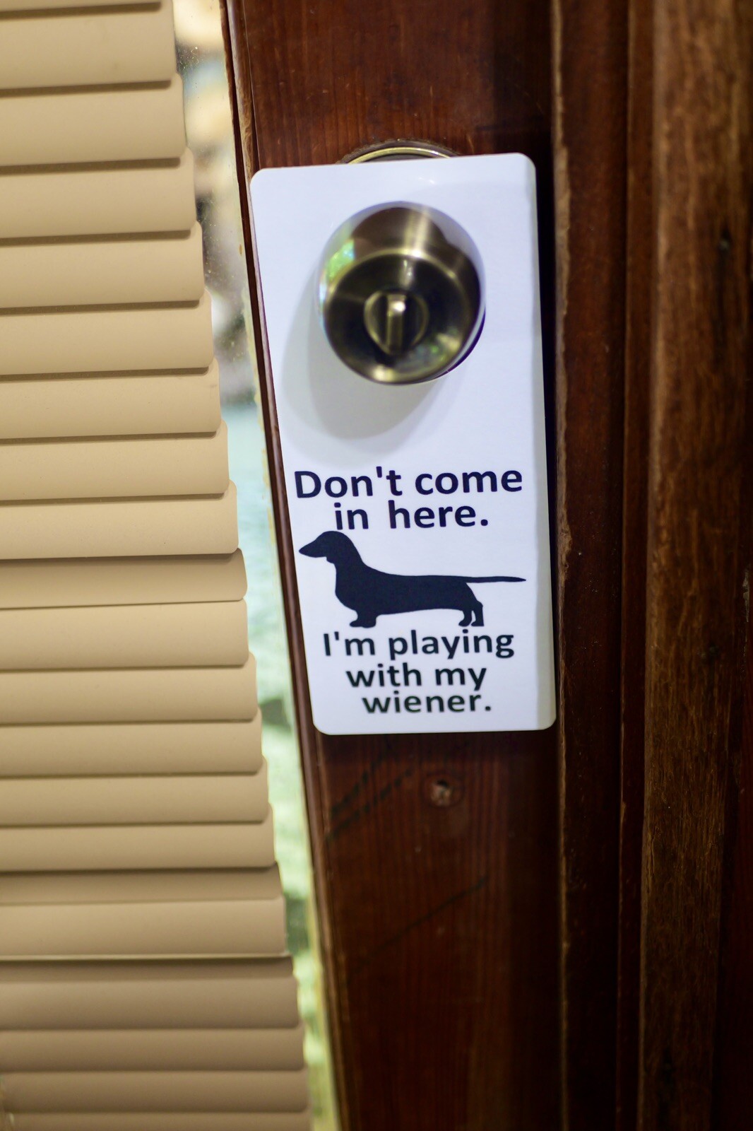 Dachshund Do Not Disturb Sign Wiener Dog Funny Door Sign Cute Animals ￼