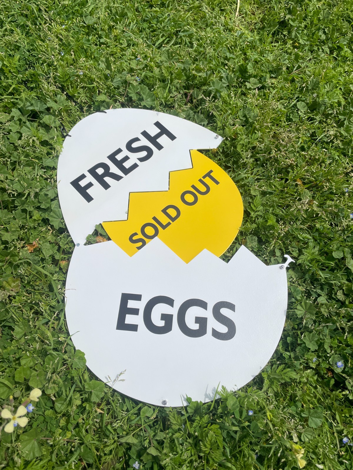 Fresh Egg Station Signs, Farm Fresh Egg Sign, Chicken Coop Eggs Sign