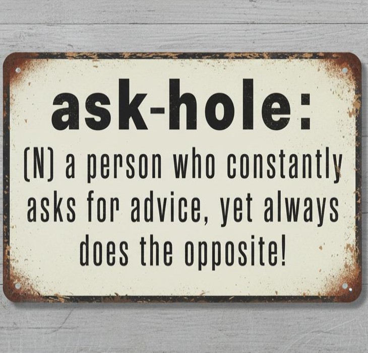Ask-Hole Definition Humor 8 x 12 Vintage Novelty Metal Sign Made In USA New!