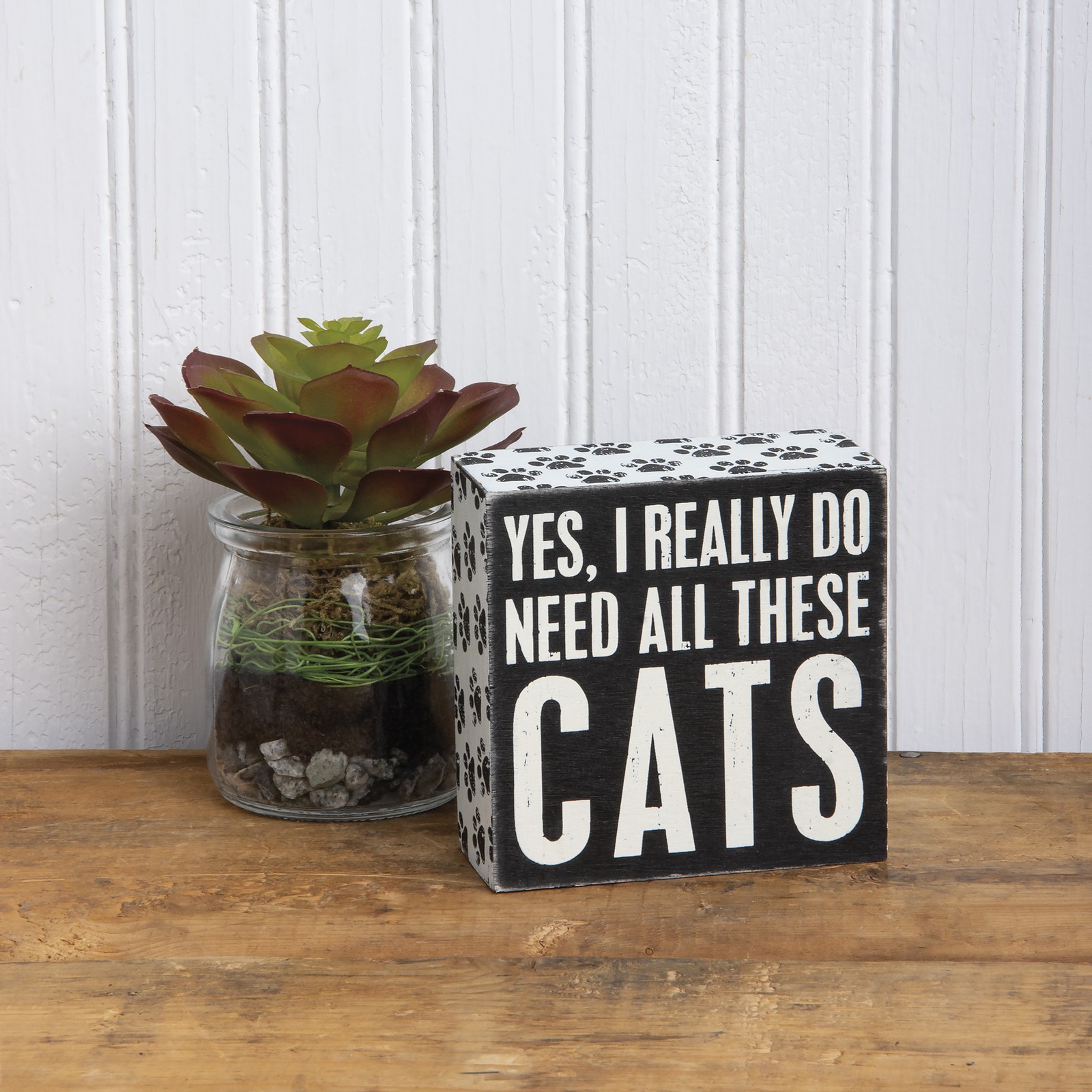 Primitives by Kathy Yes I really Do Need All Of These Cats Box Sign, 4″ Square