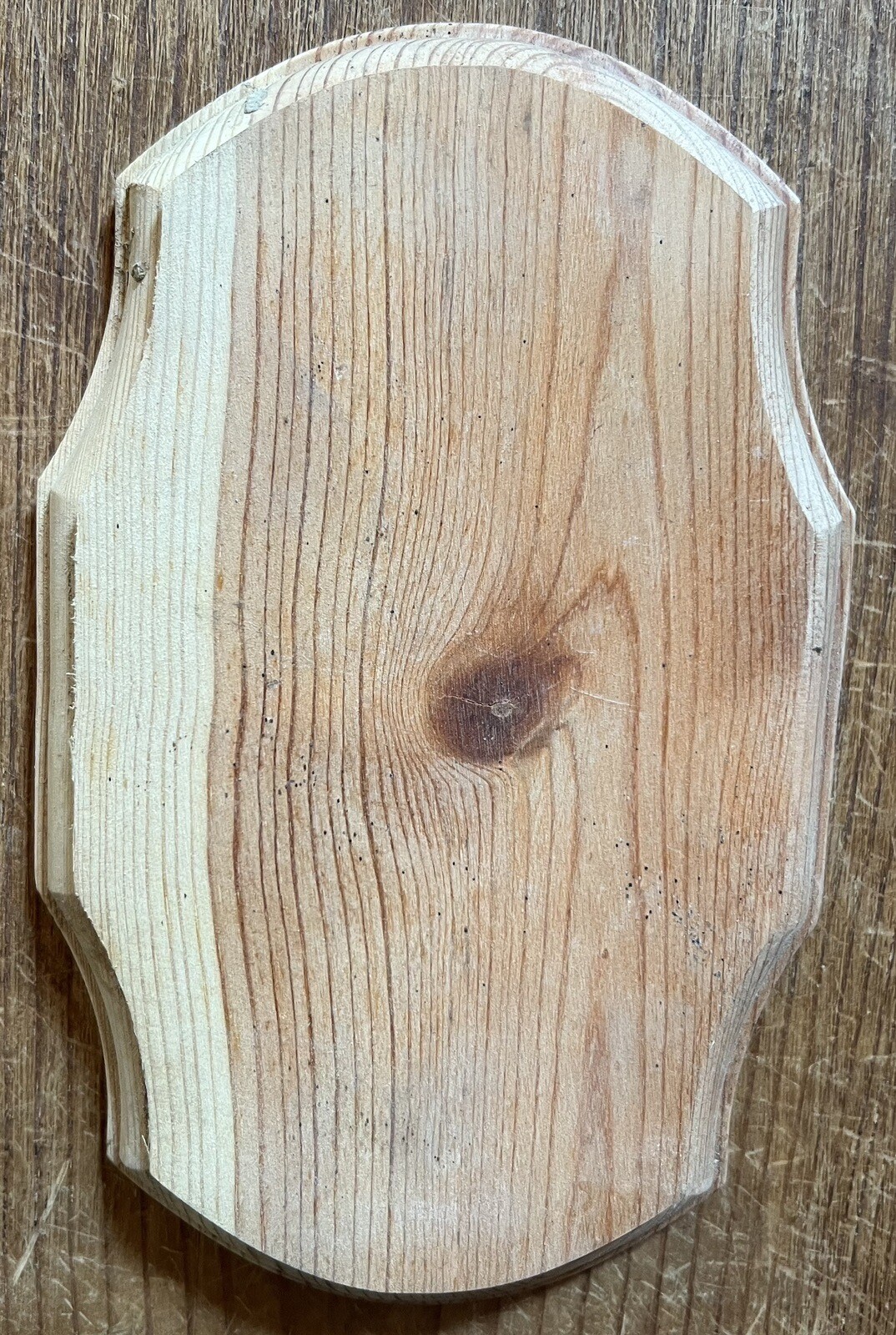 Wood Plaque Unfinished Wood Craft Blank Plaque 7.75” X 5” Routed Edges