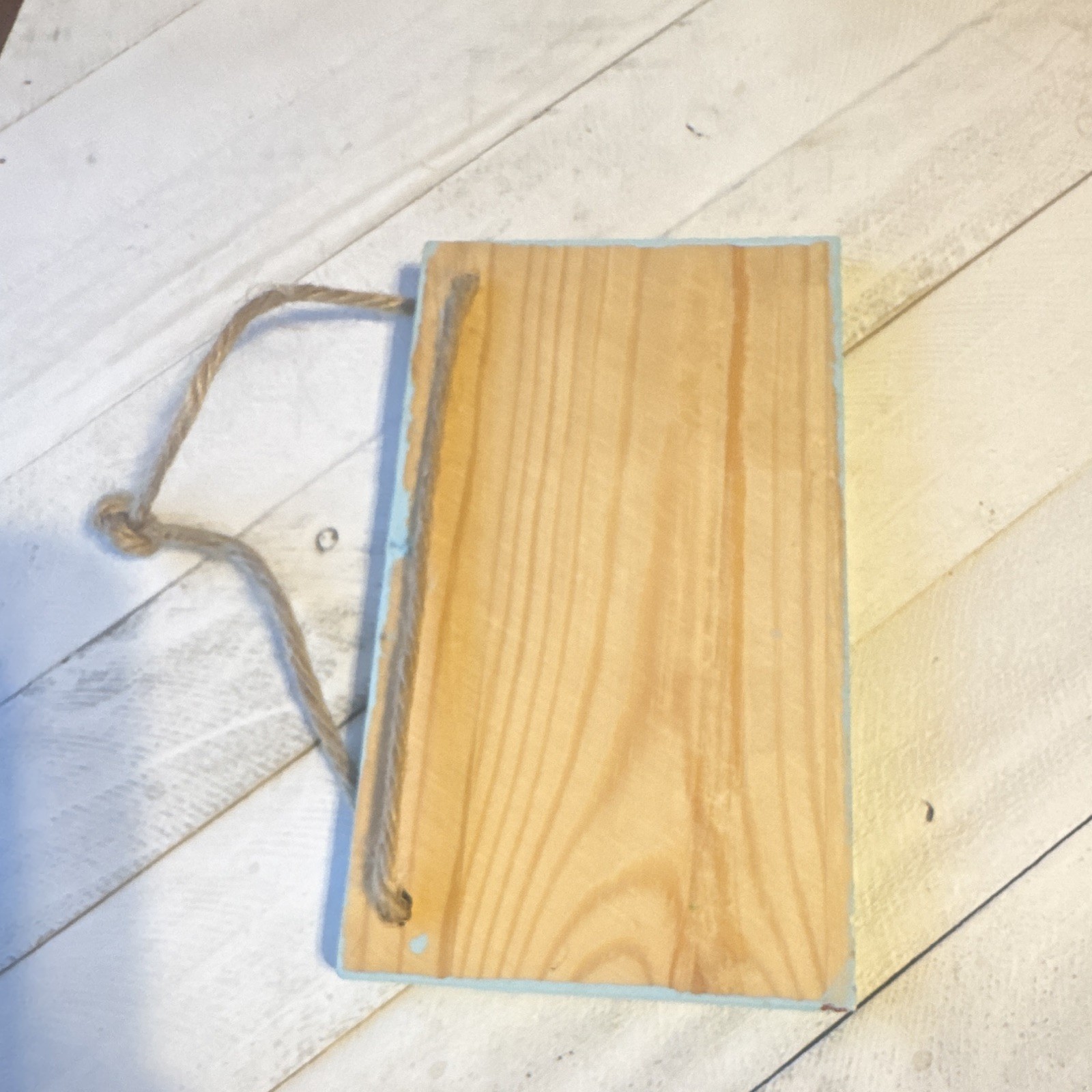 Rustic Wooden Hanging Mushroom Sign w/ Rope Hanger, Blue Rectangular Plaque