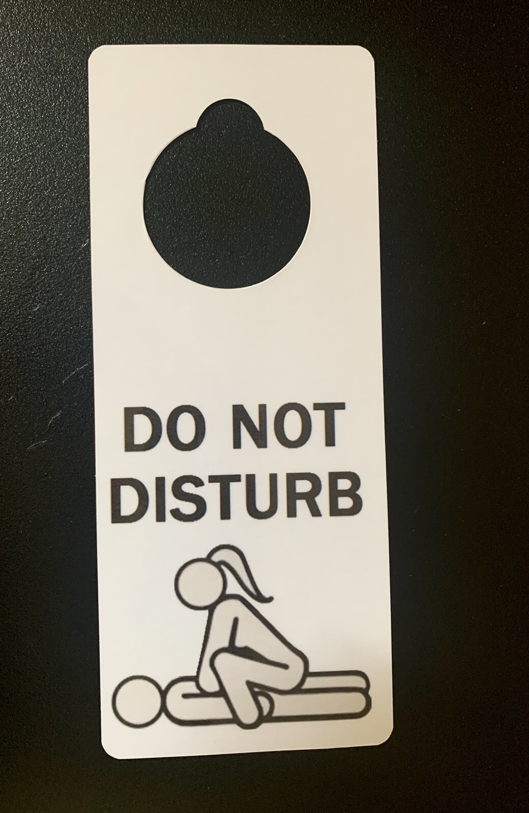Adults Only Do Not Disturb Sign Sex Wedding Bachelor Bachelorette Party