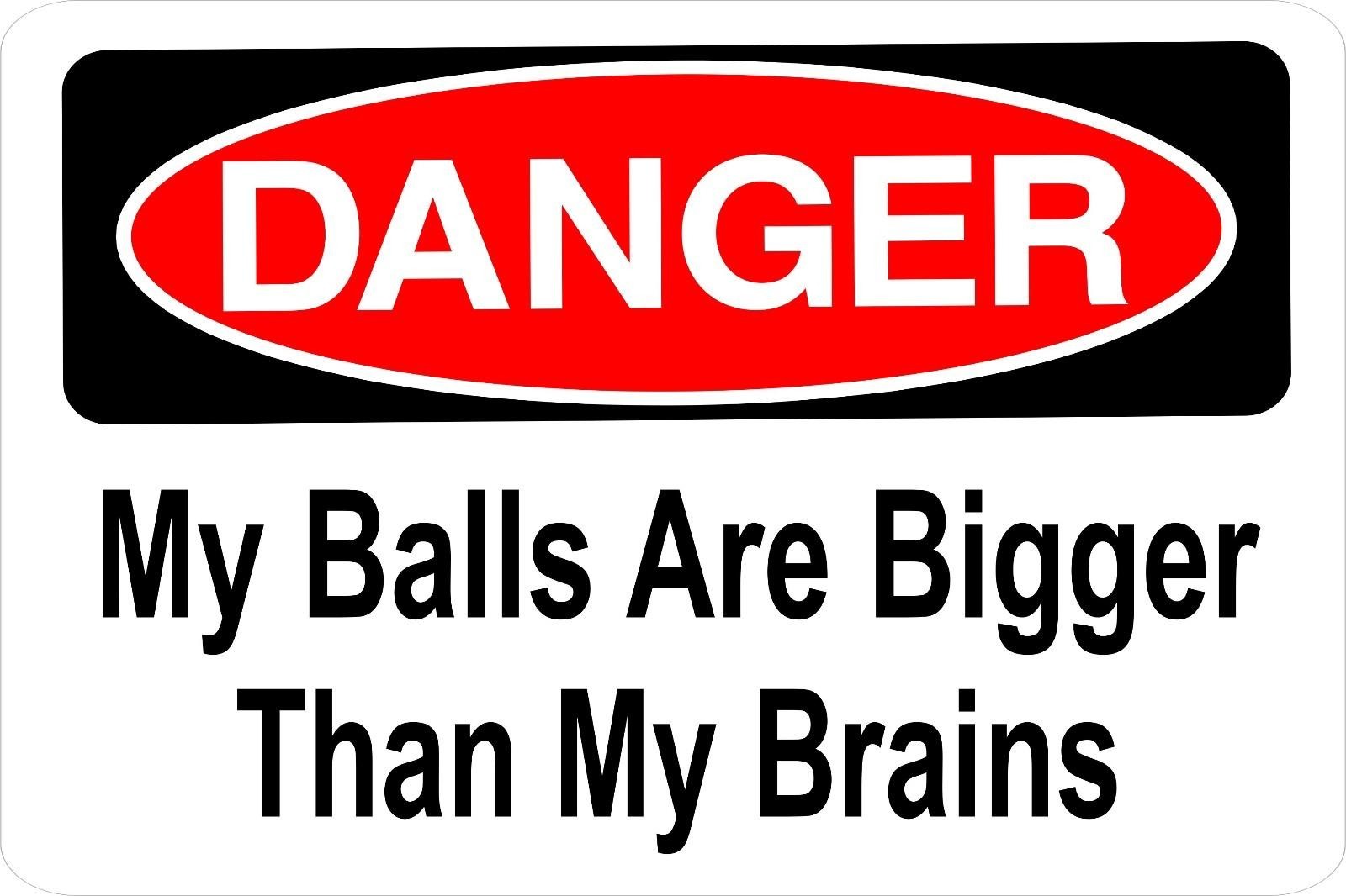 Aluminum Novelty Sign Sticker Tiger Funny Danger Warning My Balls Are Bigger