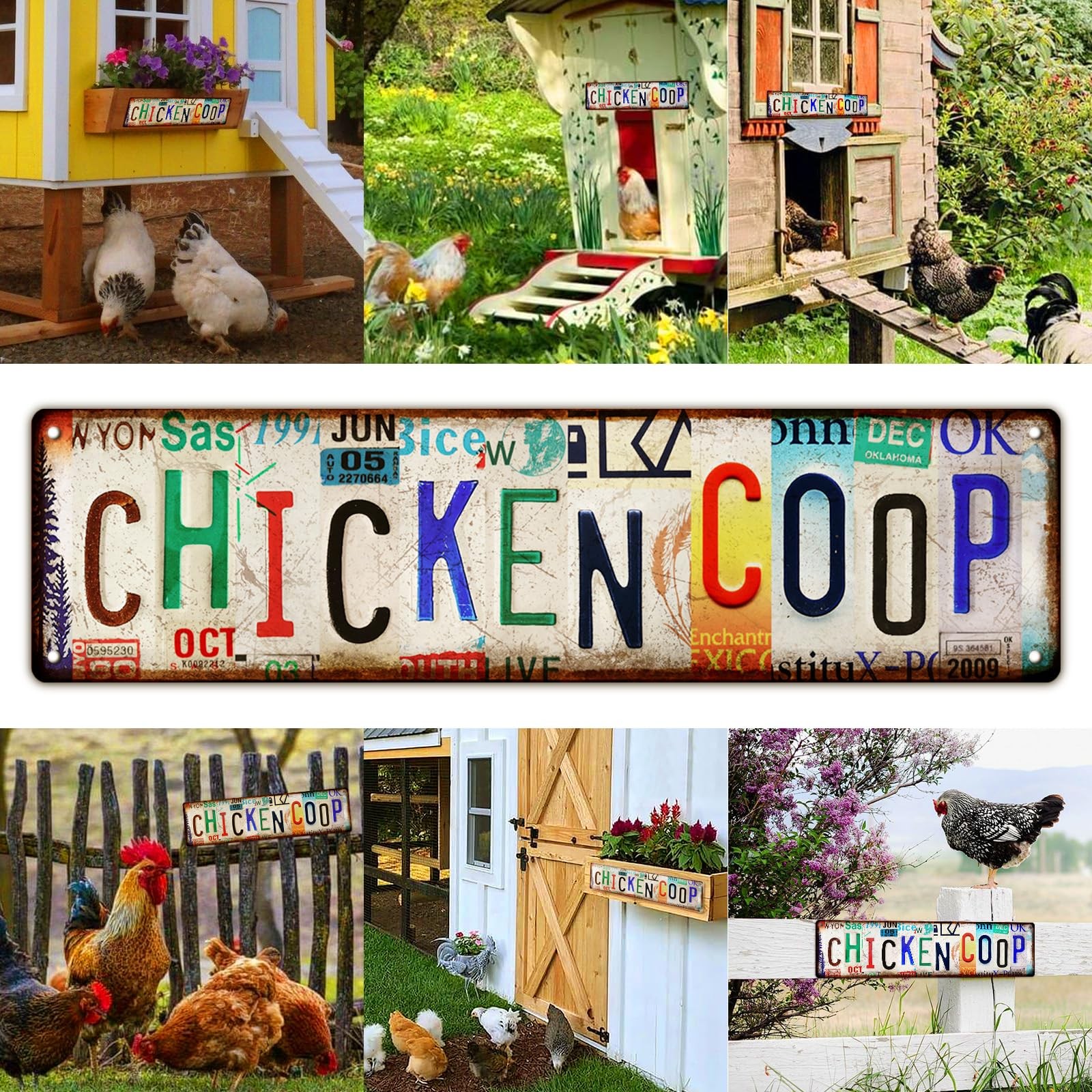 Funny Chicken Gifts Coop for Chicken Lovers Rooster Room Decor