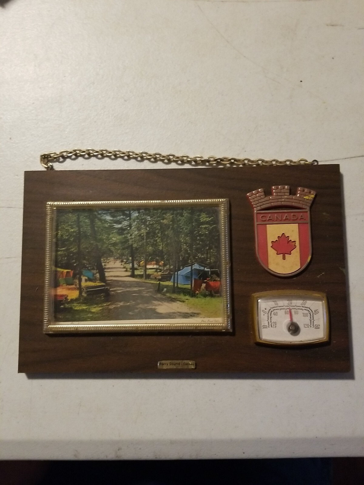 Vintage Parry Sound, Canada Souvenir Wall Plaque With Thermometer