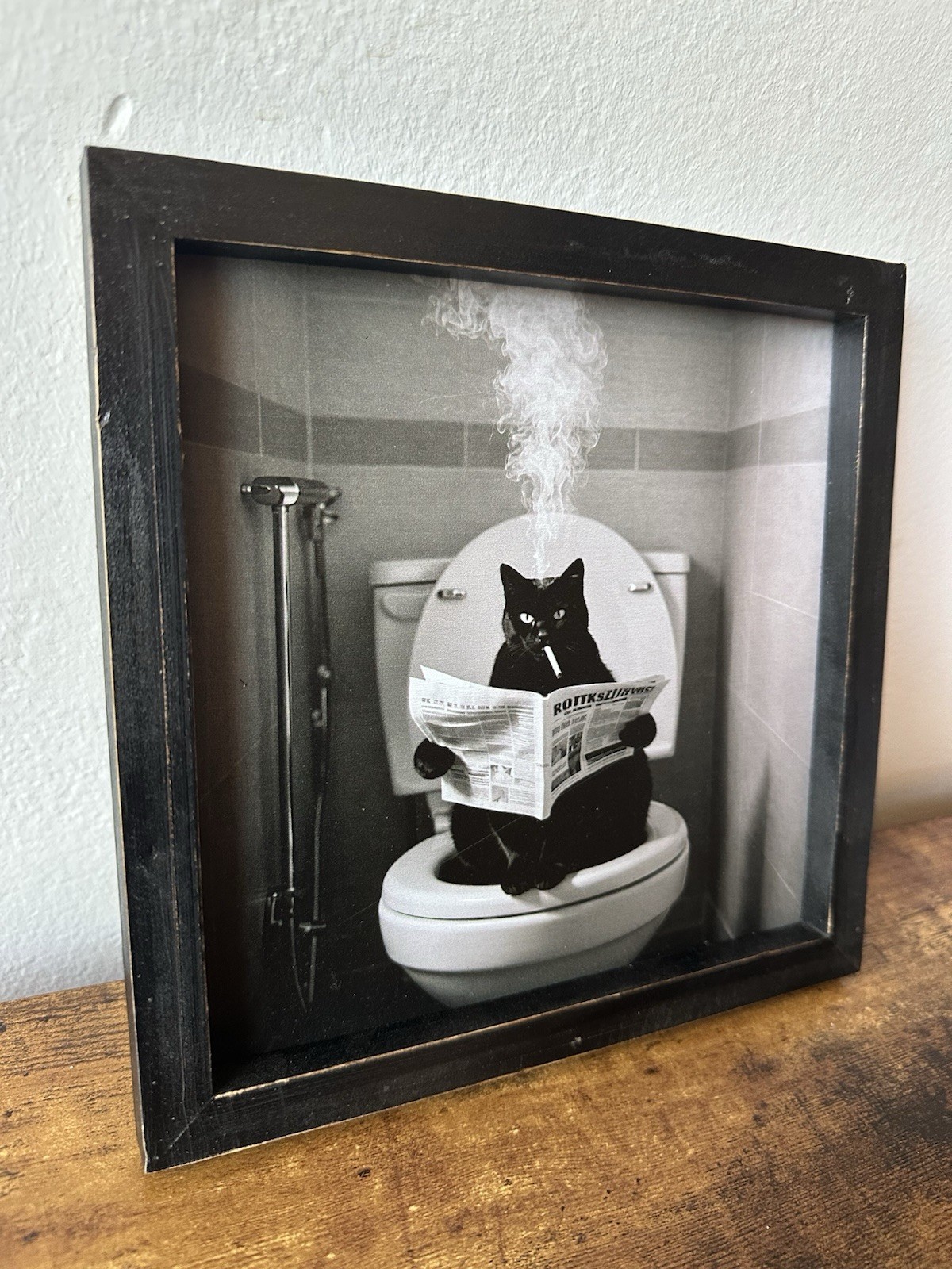 Framed Wooden Black Cat on Toilet Smoking Cigarette Reading Black & White NEW