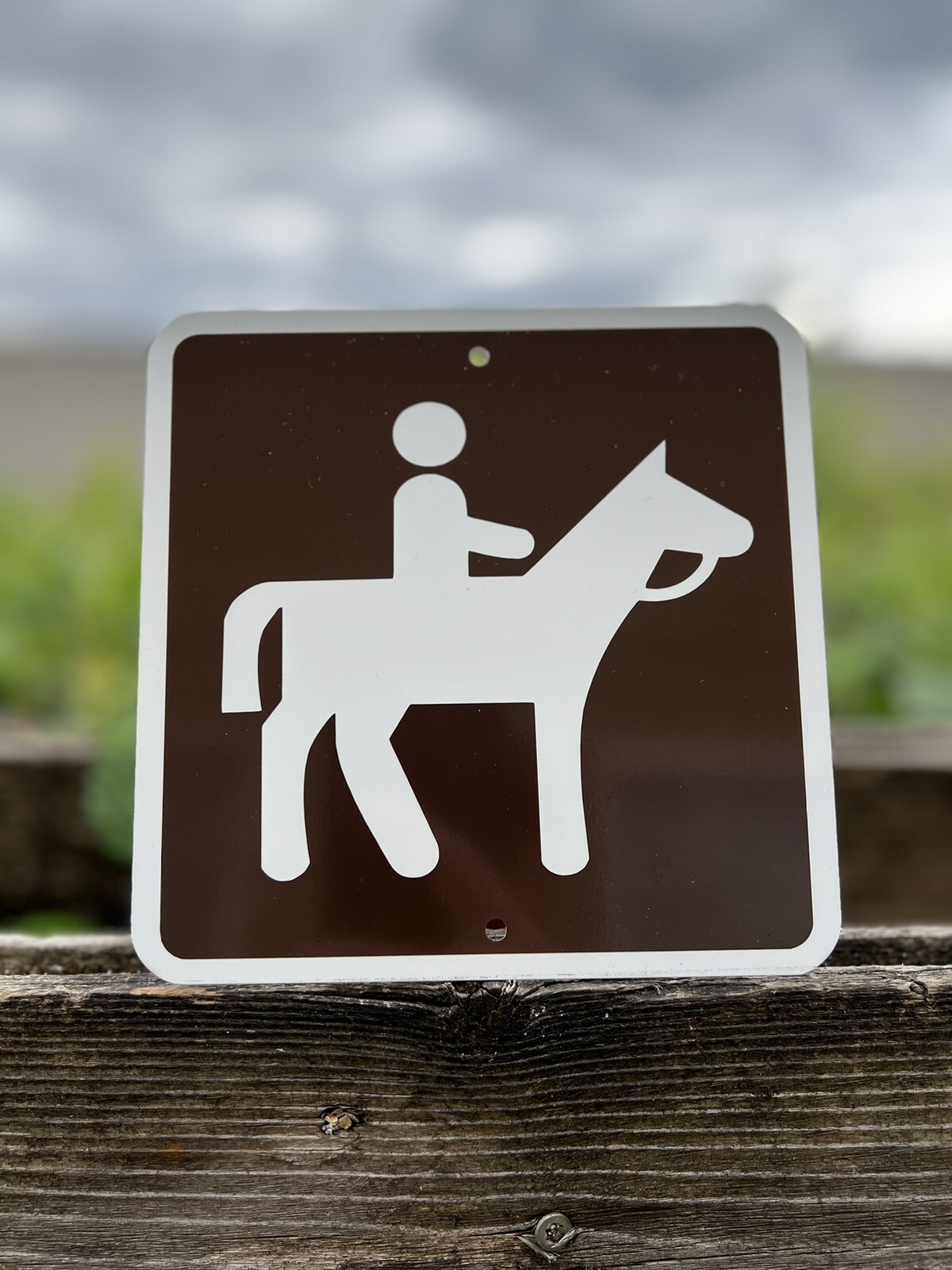 Horse Back Riding Metal Sign 6”x6” Parks & Recreation Equestrian Western Decor