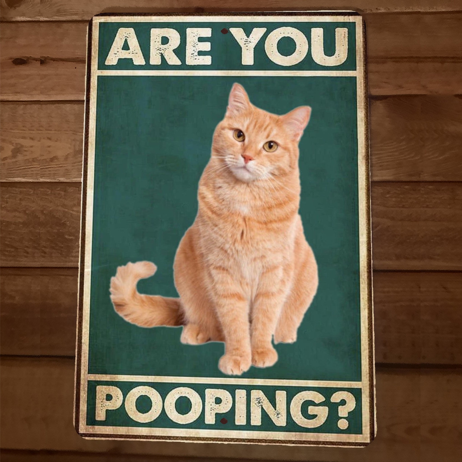 Are You Pooping Cat 8×12 Funny Bathroom Metal Wall Sign #1