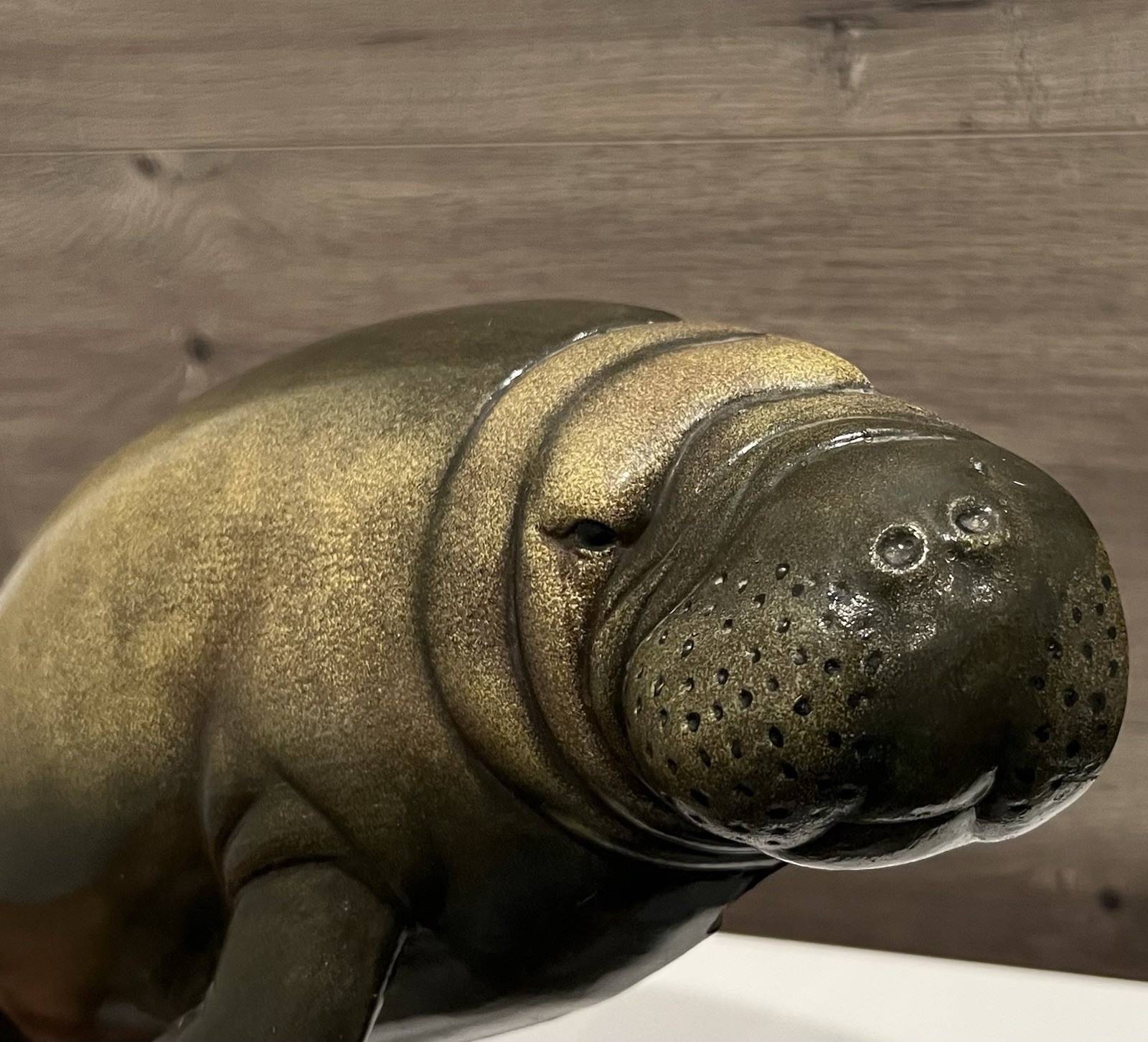 Manatee 3D Decorative Wall Hanging Home Decor 17.5” Long