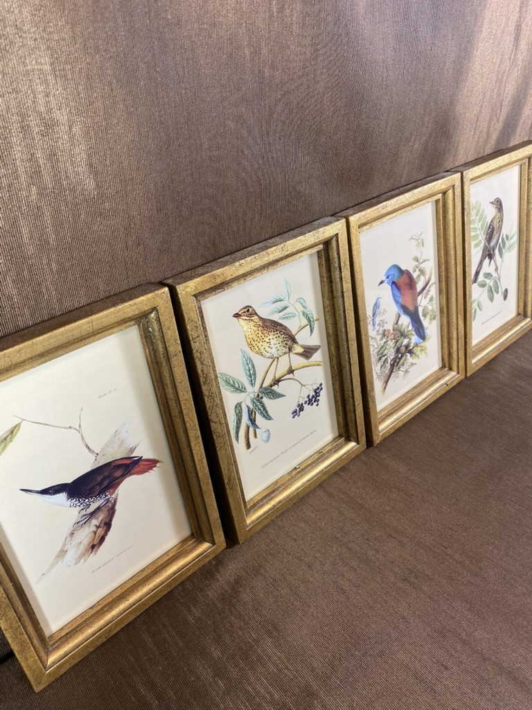 IMAX Set of 4 Wooden Bird Plaques Vintage Style Ornithology Gold Frame 9×6.5″
