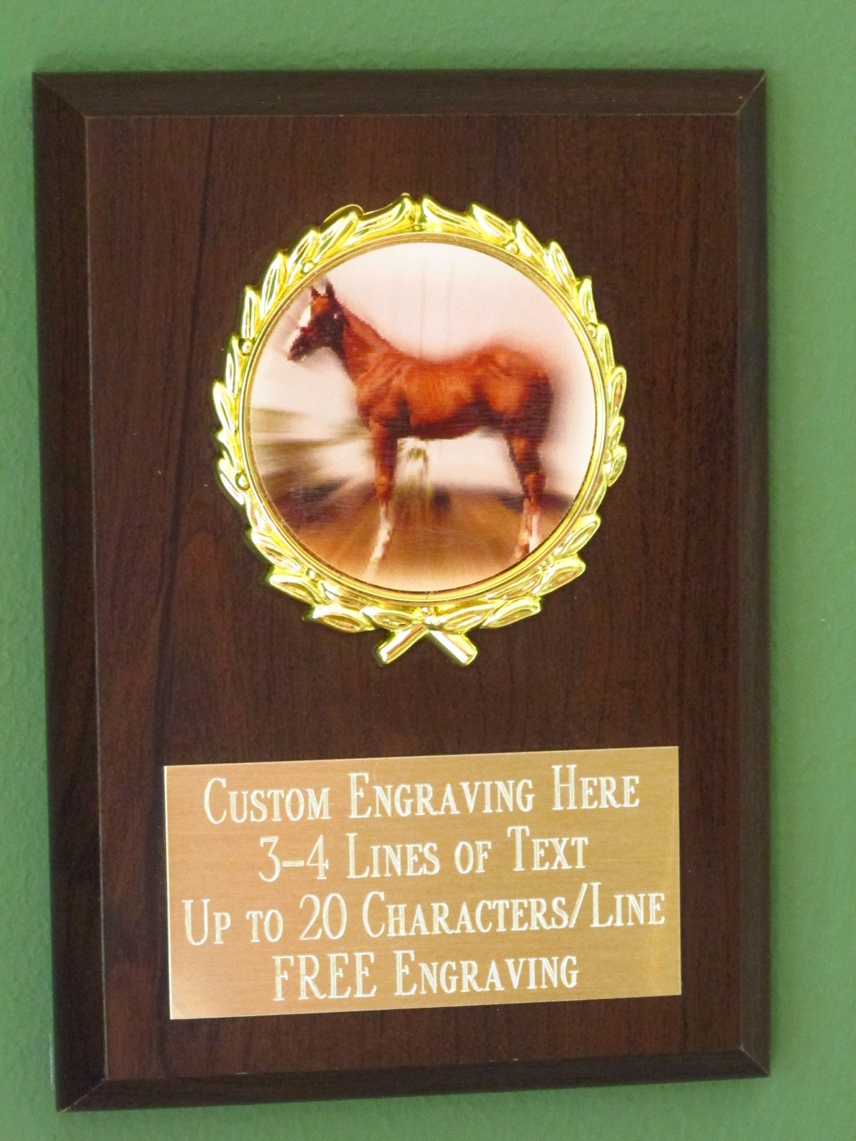 Horse/Equestrian/County Fair Award Plaque 4×6 Trophy FREE engraving