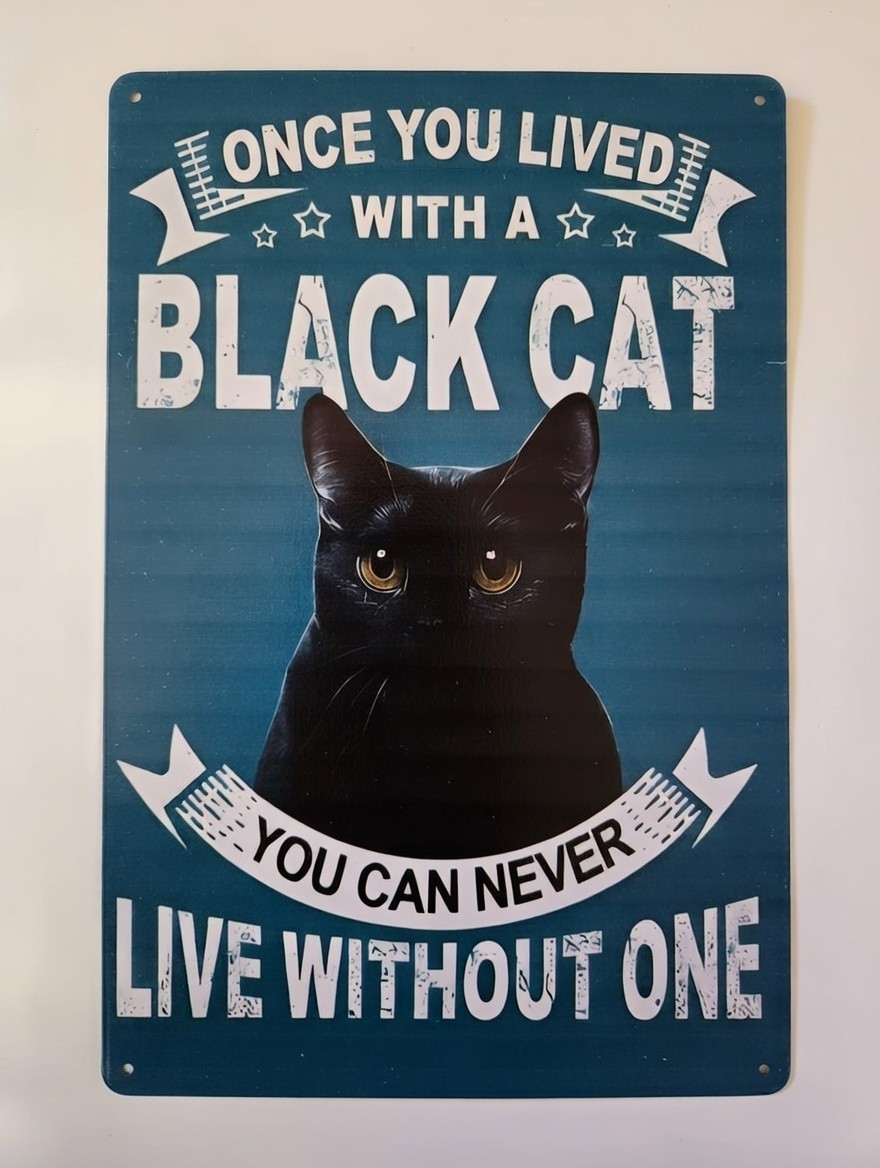 Black Cat Metal Sign 8×12 Once You Lived With A Black Cat You Can Never Live Wit
