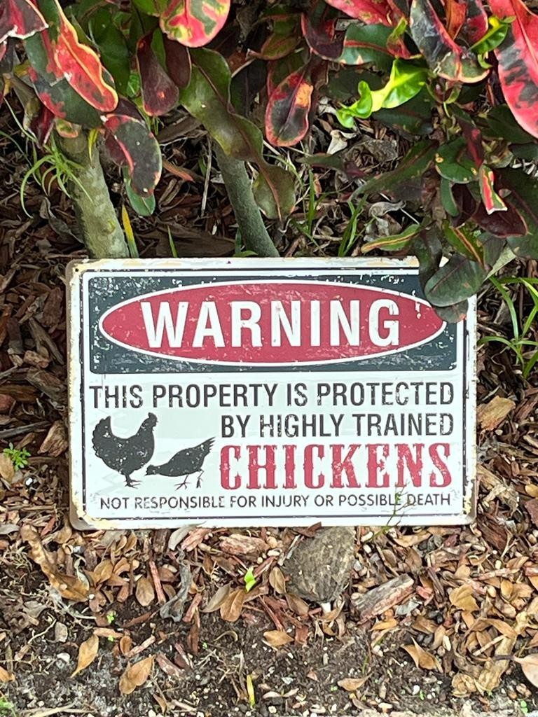 Funny Chicken Coop Warning Sign – Rustic Farmhouse Decor 12×8 Inch Aluminum